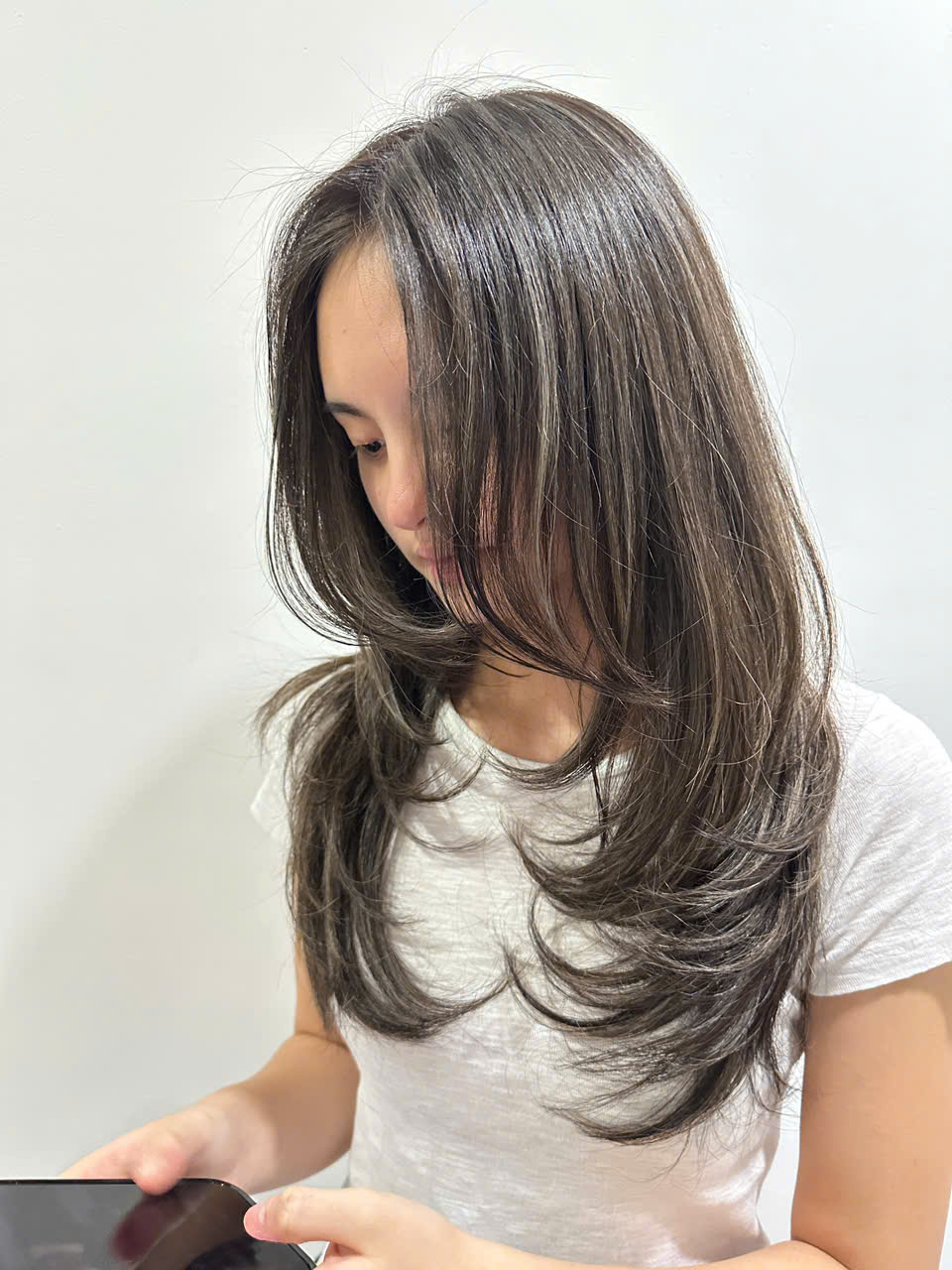 Ash Brown Layers